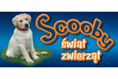 Scooby Świat Zwierząt